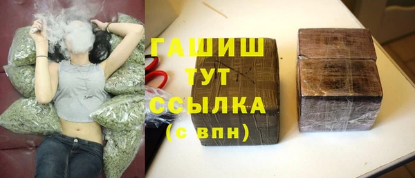 дмт Осинники