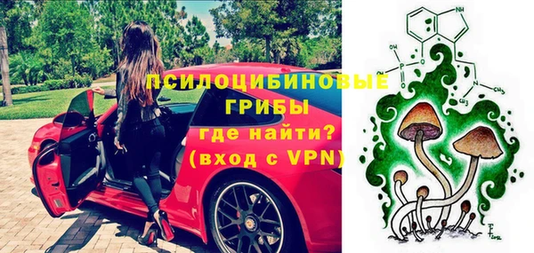 дмт Осинники