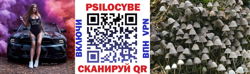 купить наркотик  Санкт-Петербург  Псилоцибиновые грибы Magic Shrooms 